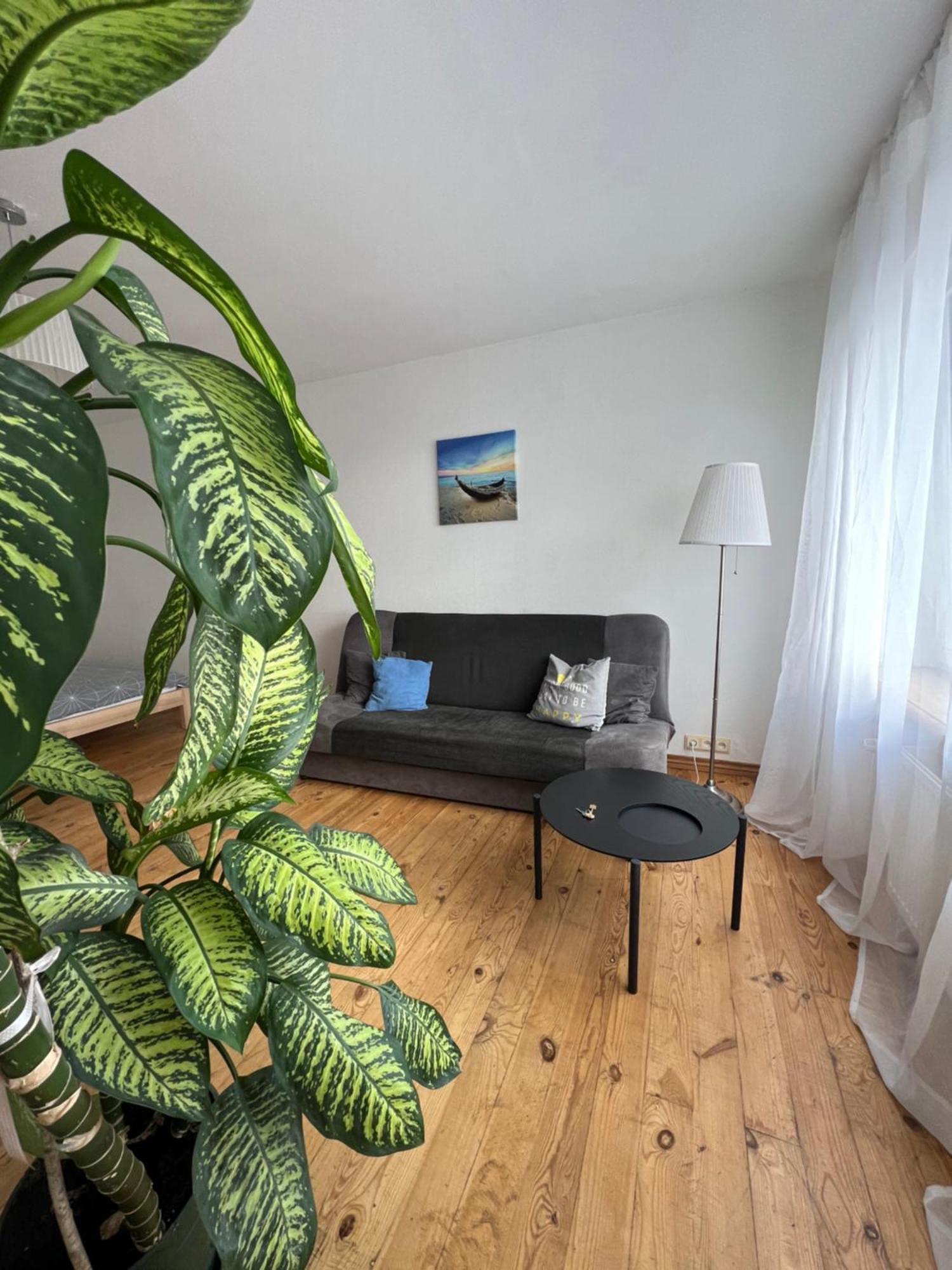 Amazing view apartment Jelgava Buitenkant foto